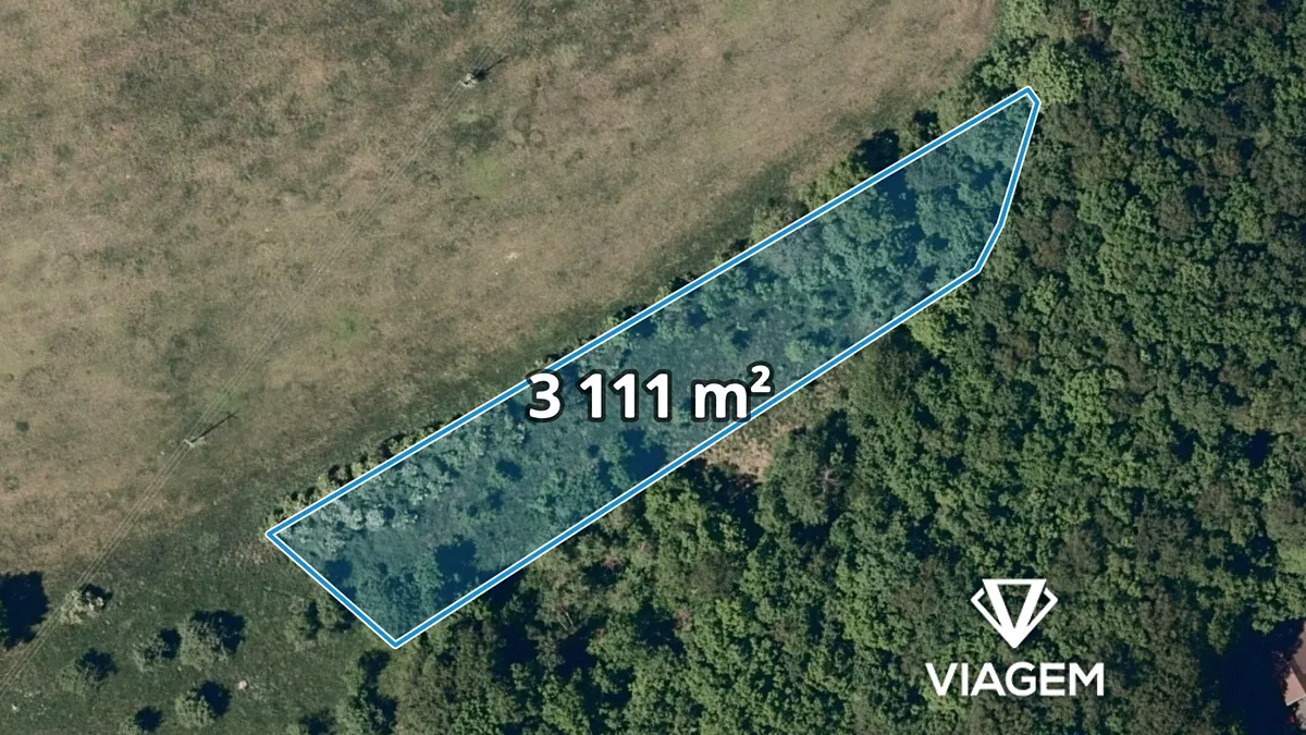 Prodej pole 3111 m²